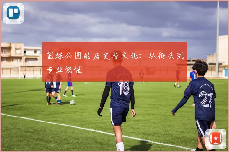 篮球公园的历史与文化:从街头到专业场馆
